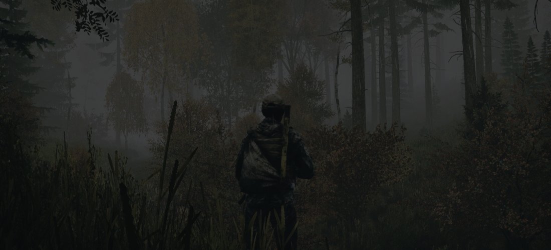 DayZ